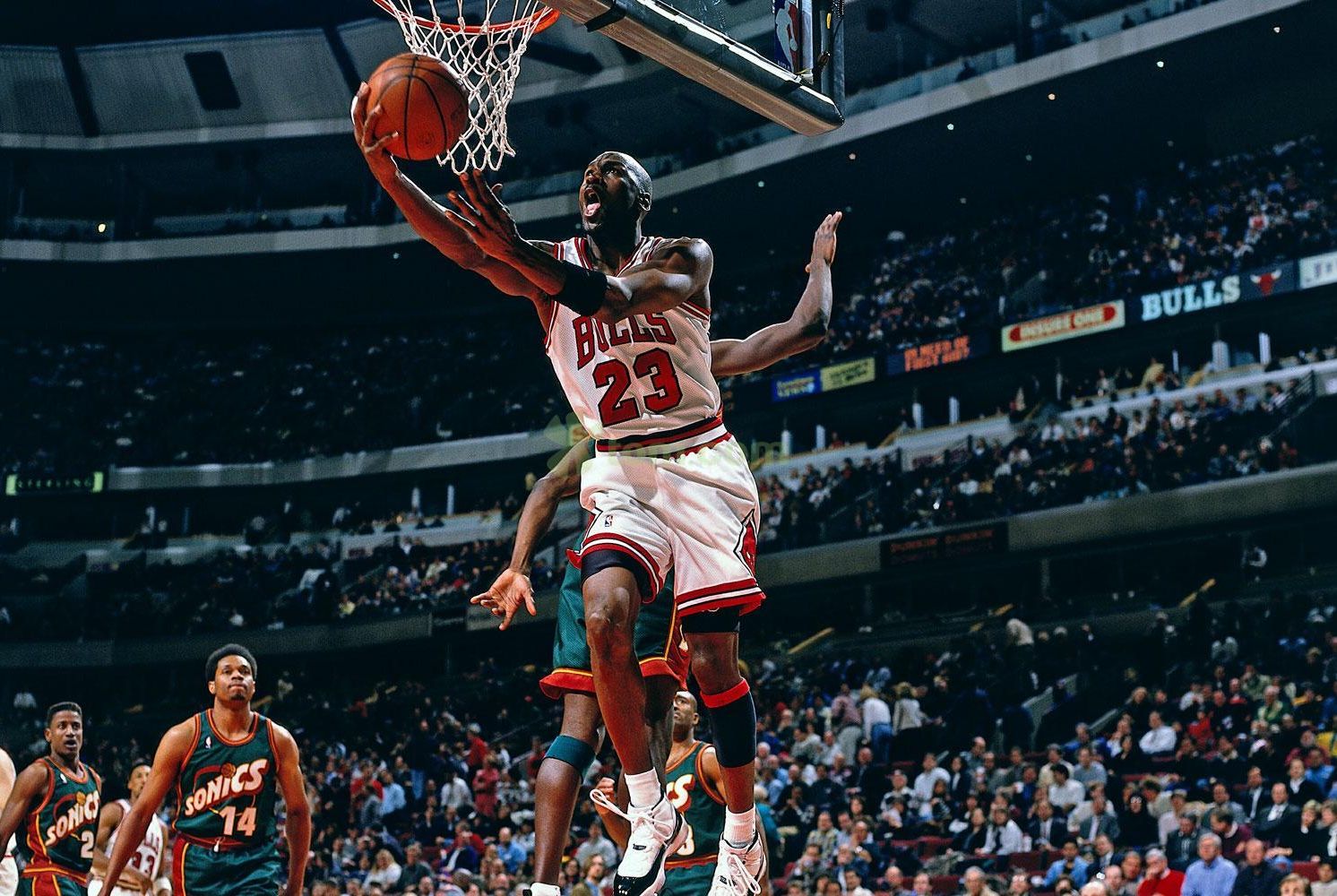 治无疑成为 治无疑成为