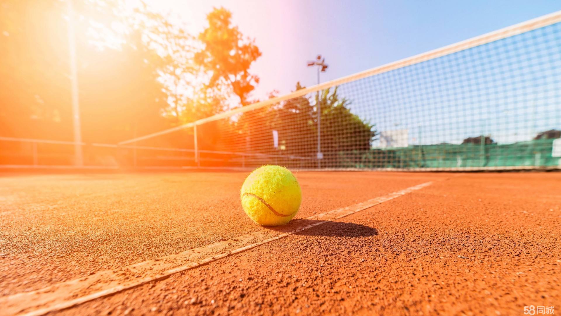 环境及战术 环境及战术