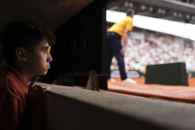 的整体表现 的整体表现