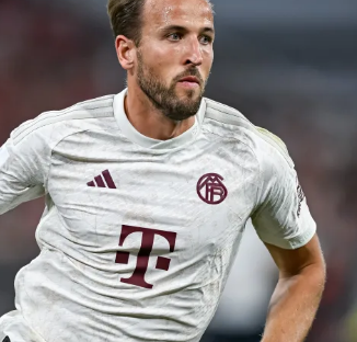 表现吸引着 表现吸引着