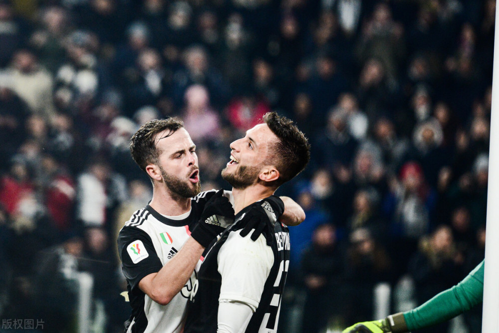 广州蒲公英 广州蒲公英